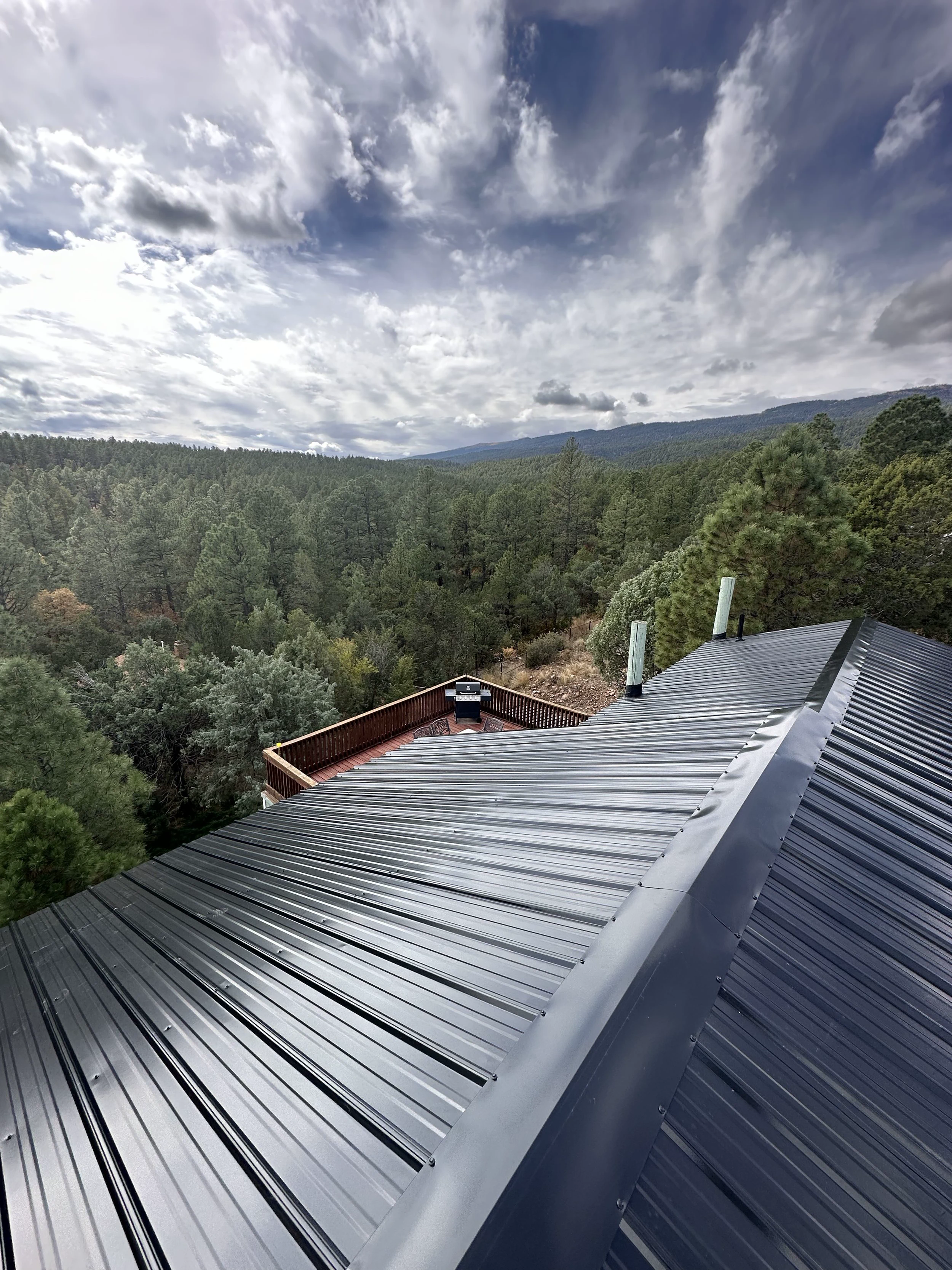 Dark metal roof installed by Desert Storm Roofing overlooking a pine forest